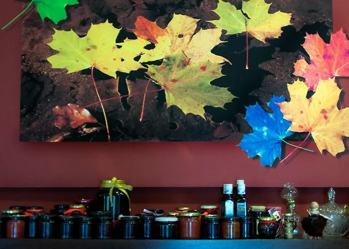 Nessos Otel Paranesti